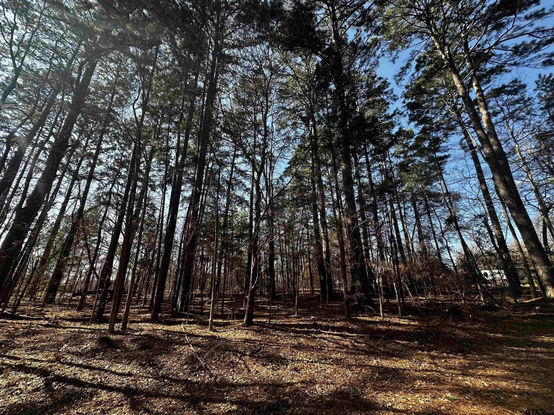 0.35 acres in Cherokee County gallery image 2