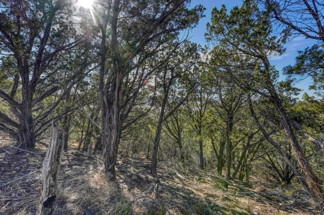 2.68 acres in Burnet County featured view