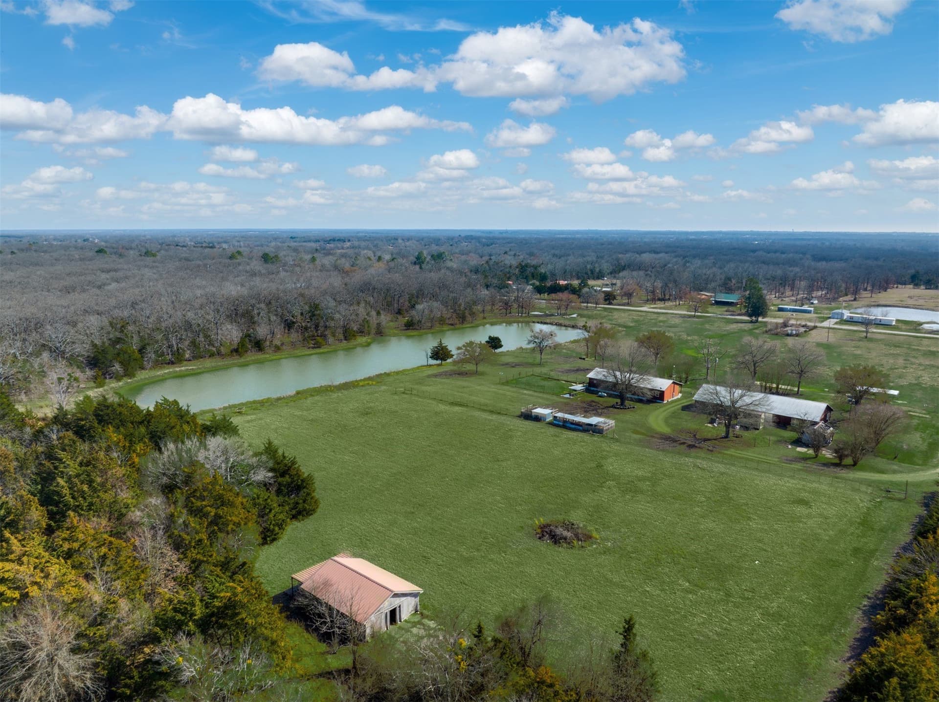 21 acres in Lamar County gallery image 3