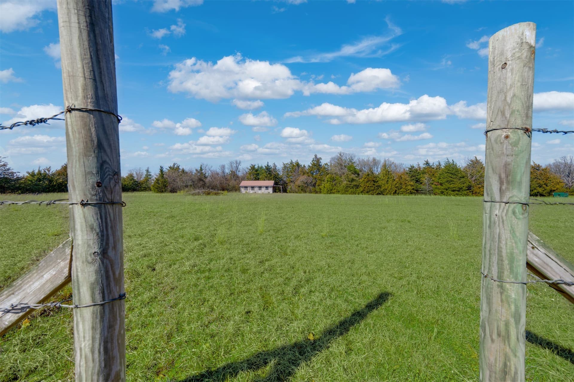 21 acres in Lamar County - photo 9