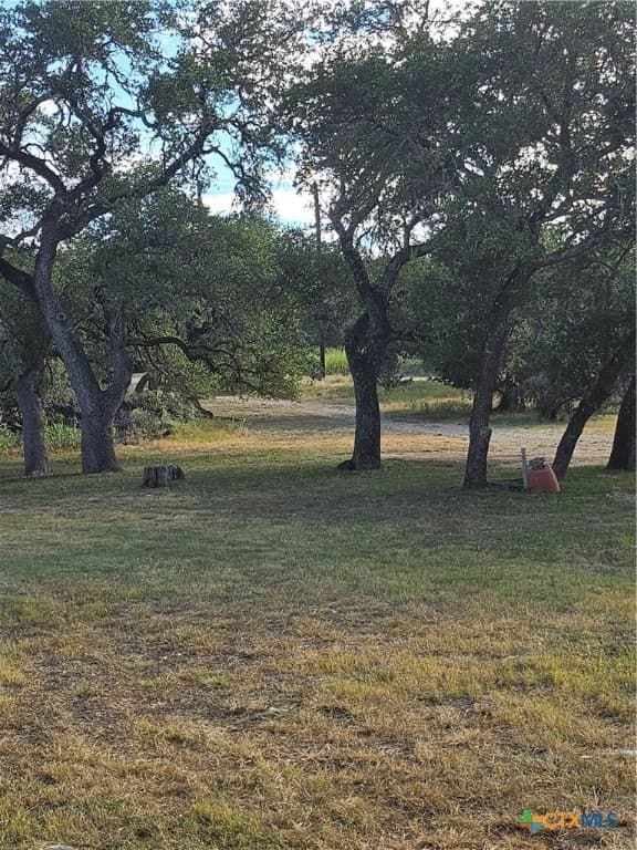 0.97 acres in Comal County - photo 14