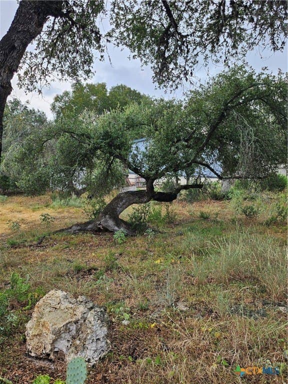 0.97 acres in Comal County - photo 9