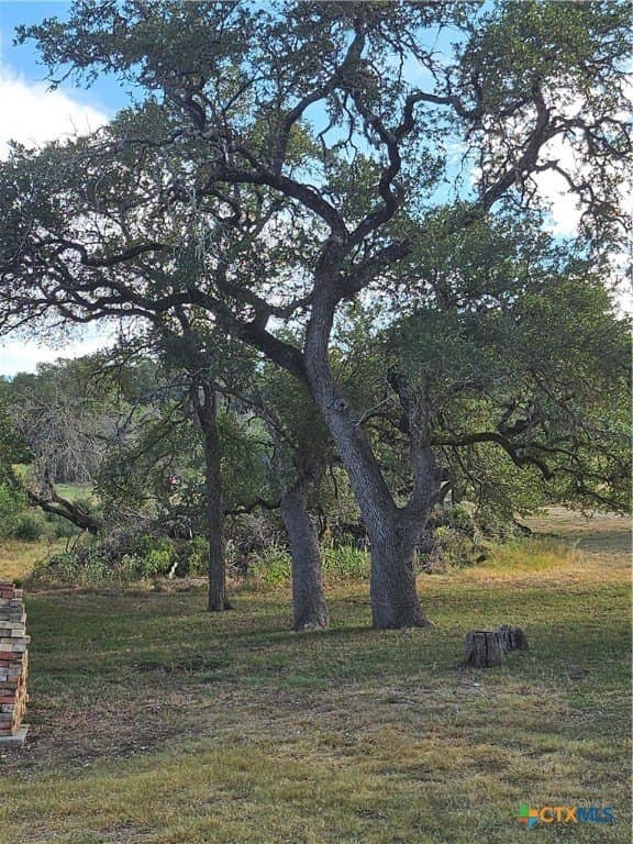 0.97 acres in Comal County - photo 7