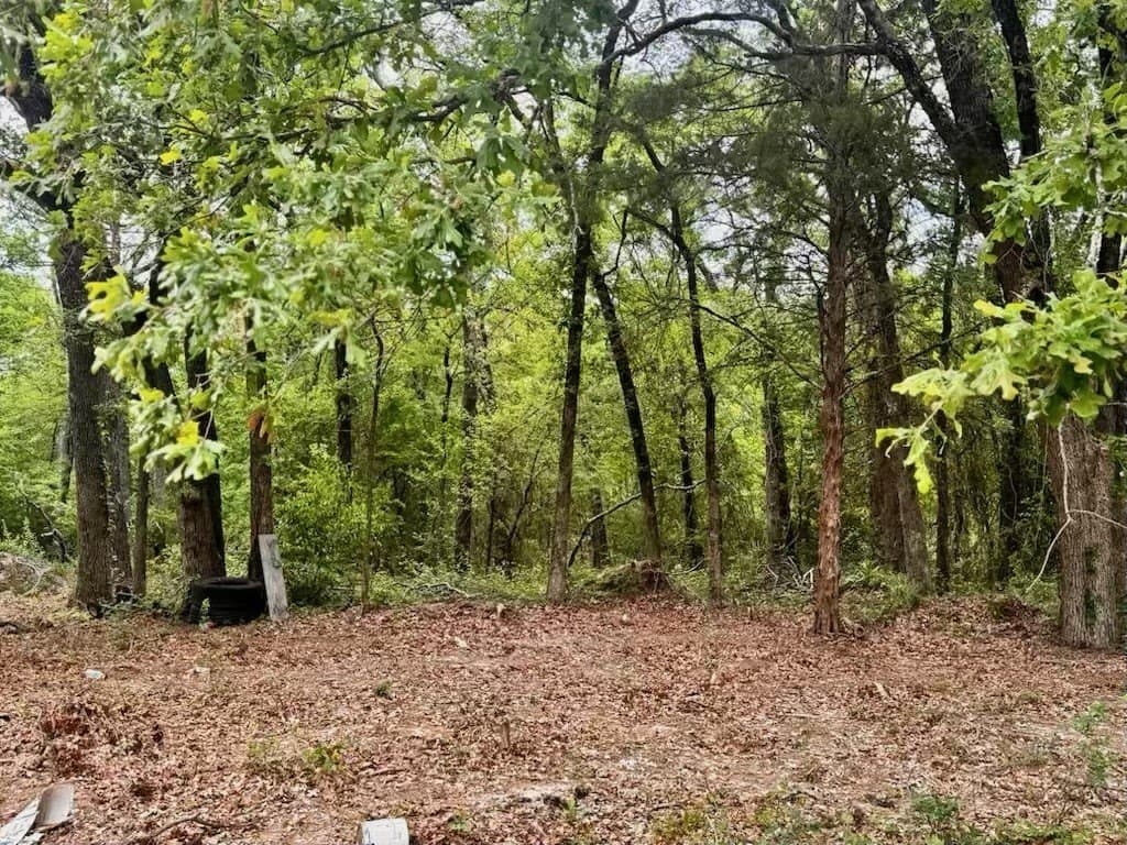 1 acres in Henderson County - photo 7