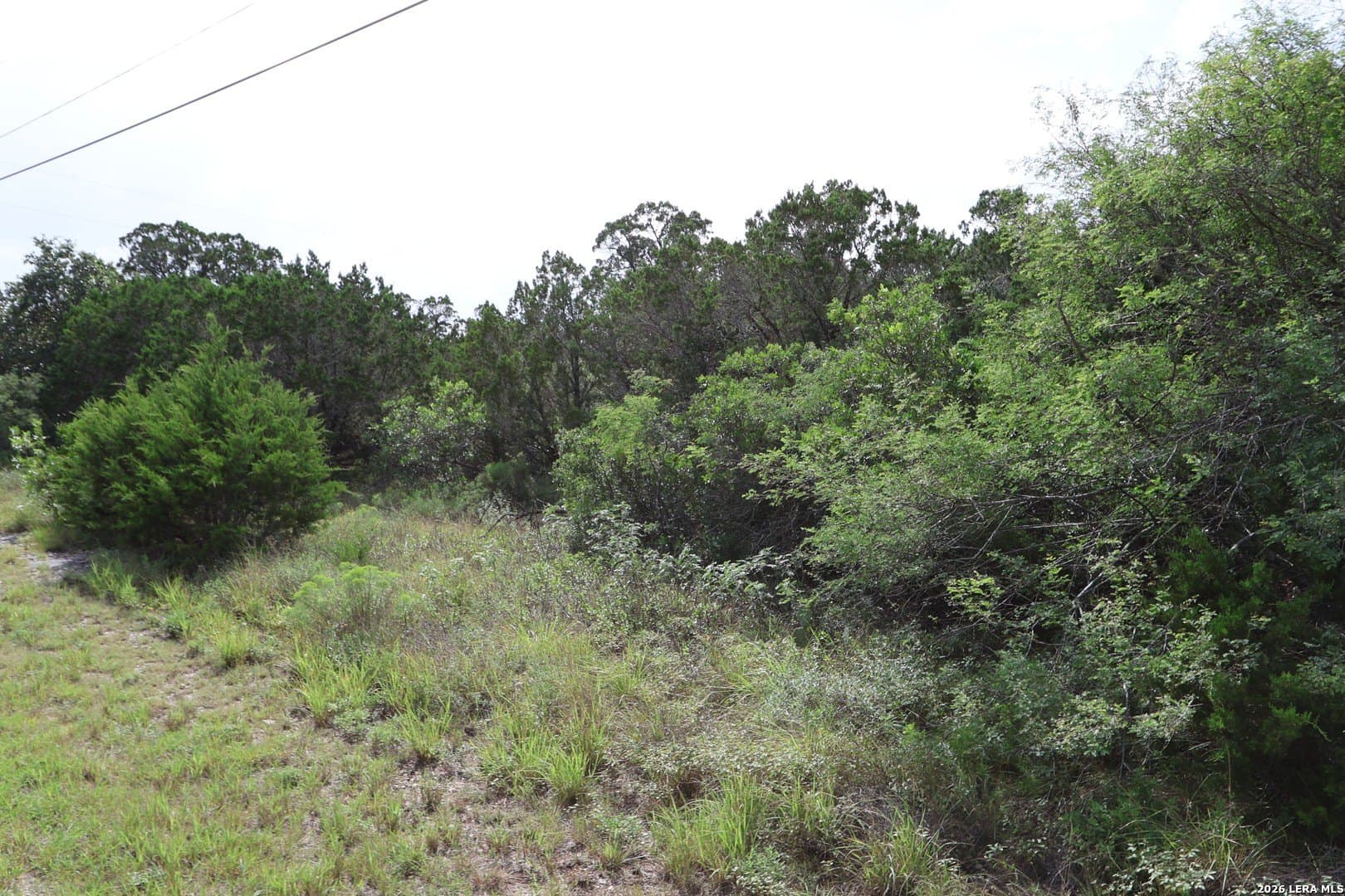 5.06 acres in Medina County gallery image 3