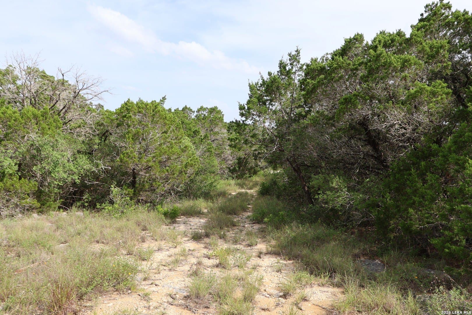 5.06 acres in Medina County featured view
