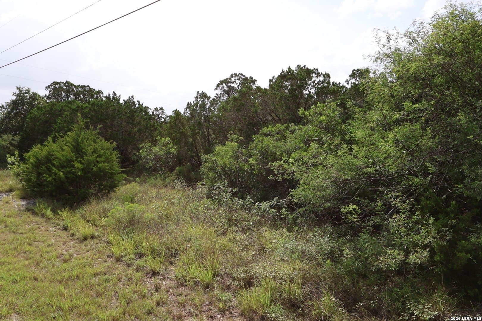 5.06 acres in Medina County gallery image 4