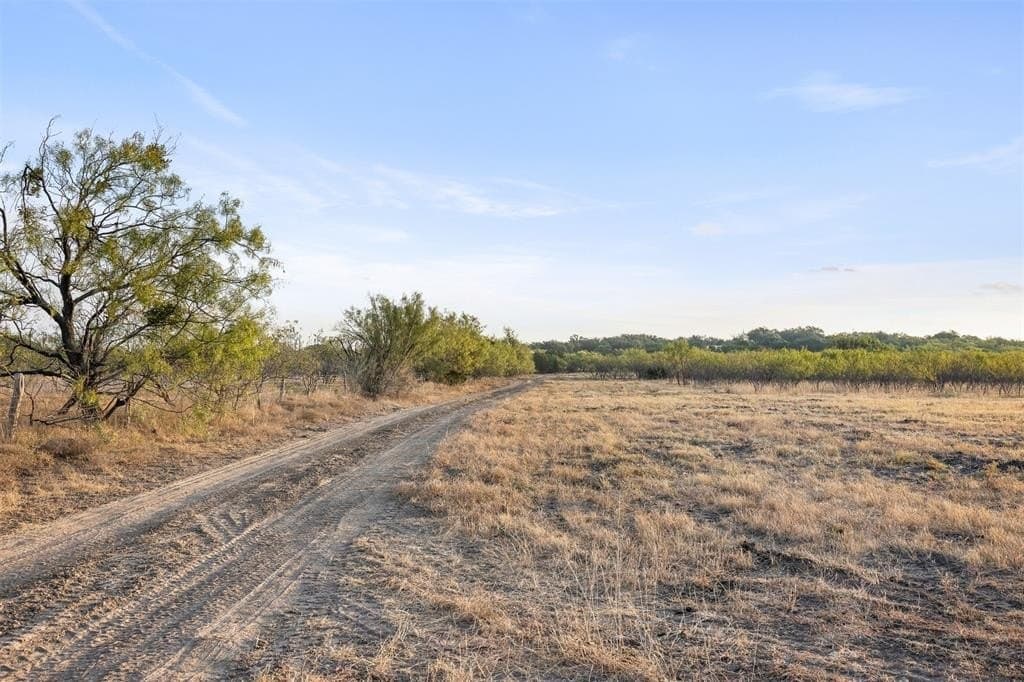 10 acres in McCulloch County gallery image 2