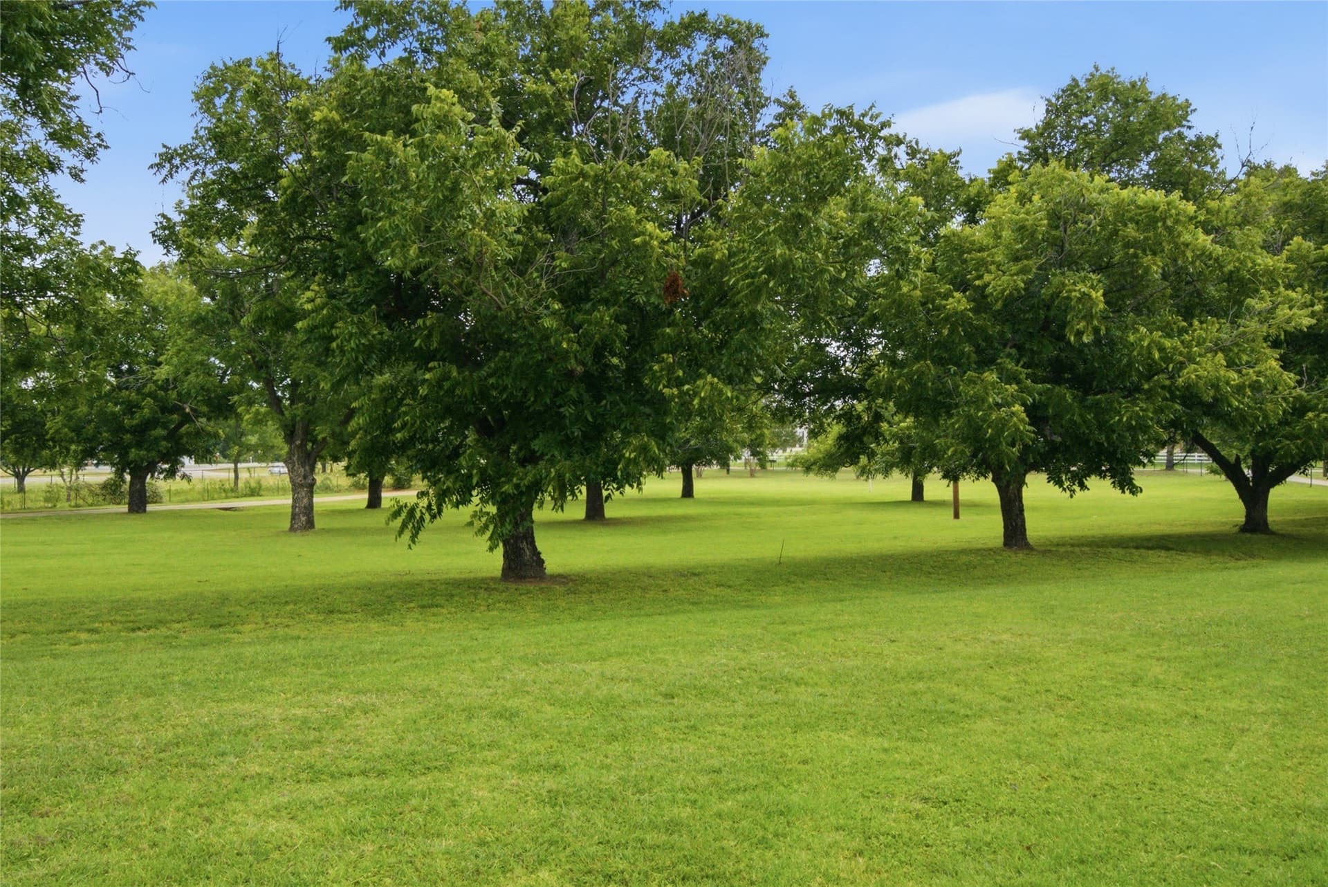 12.87 acres in Parker County - photo 5