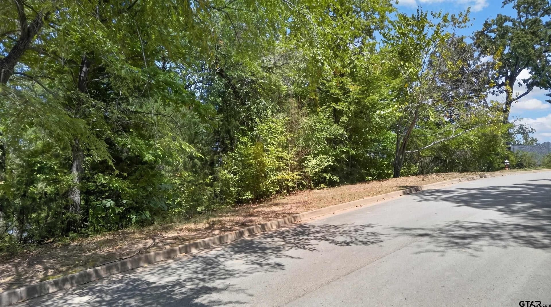 0.86 acres in Smith County - photo 6