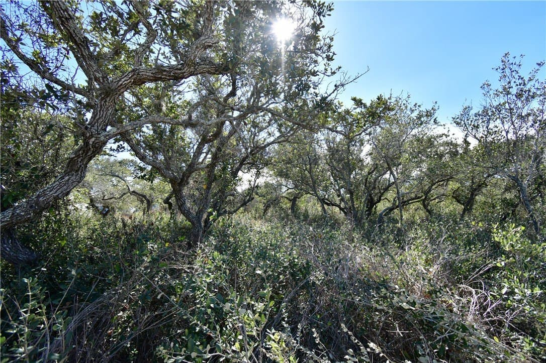 0.23 acres in Aransas County - photo 7