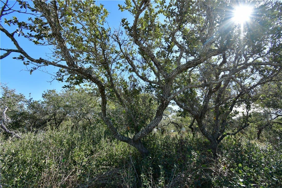 0.23 acres in Aransas County - photo 6