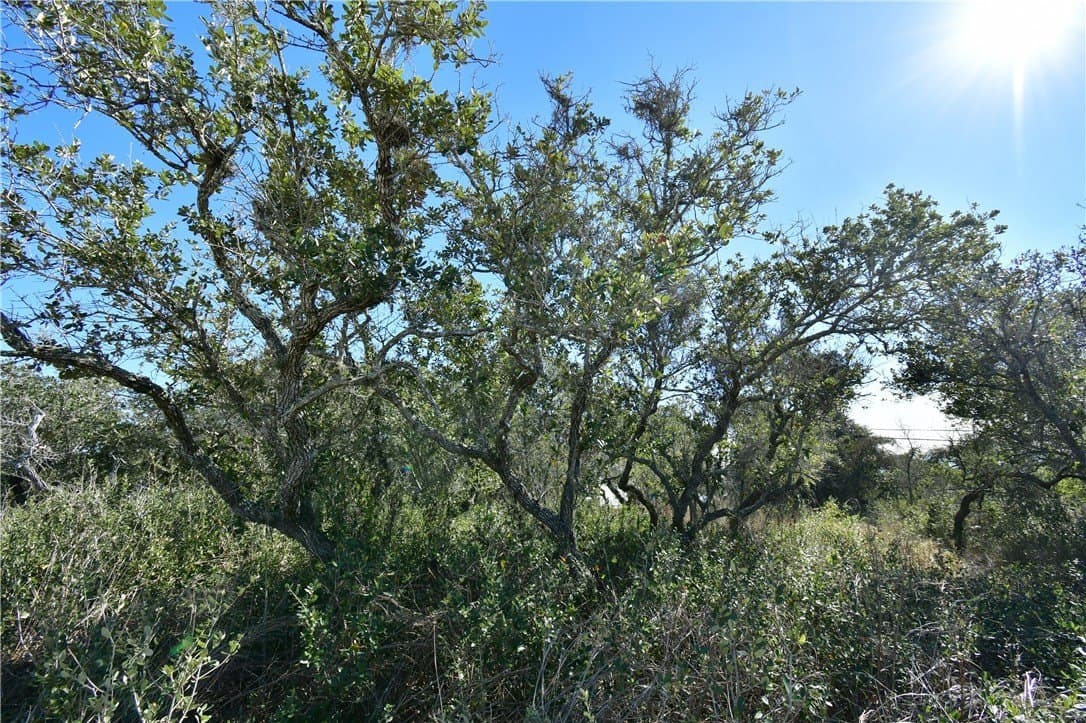 0.23 acres in Aransas County gallery image 3