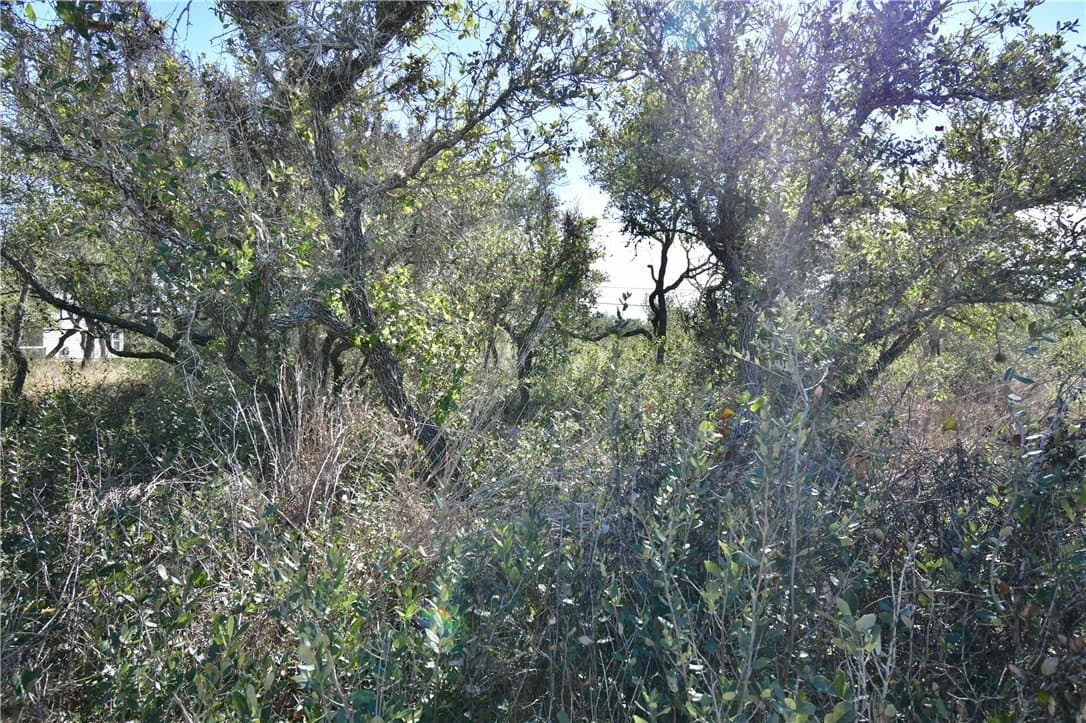 0.23 acres in Aransas County gallery image 4