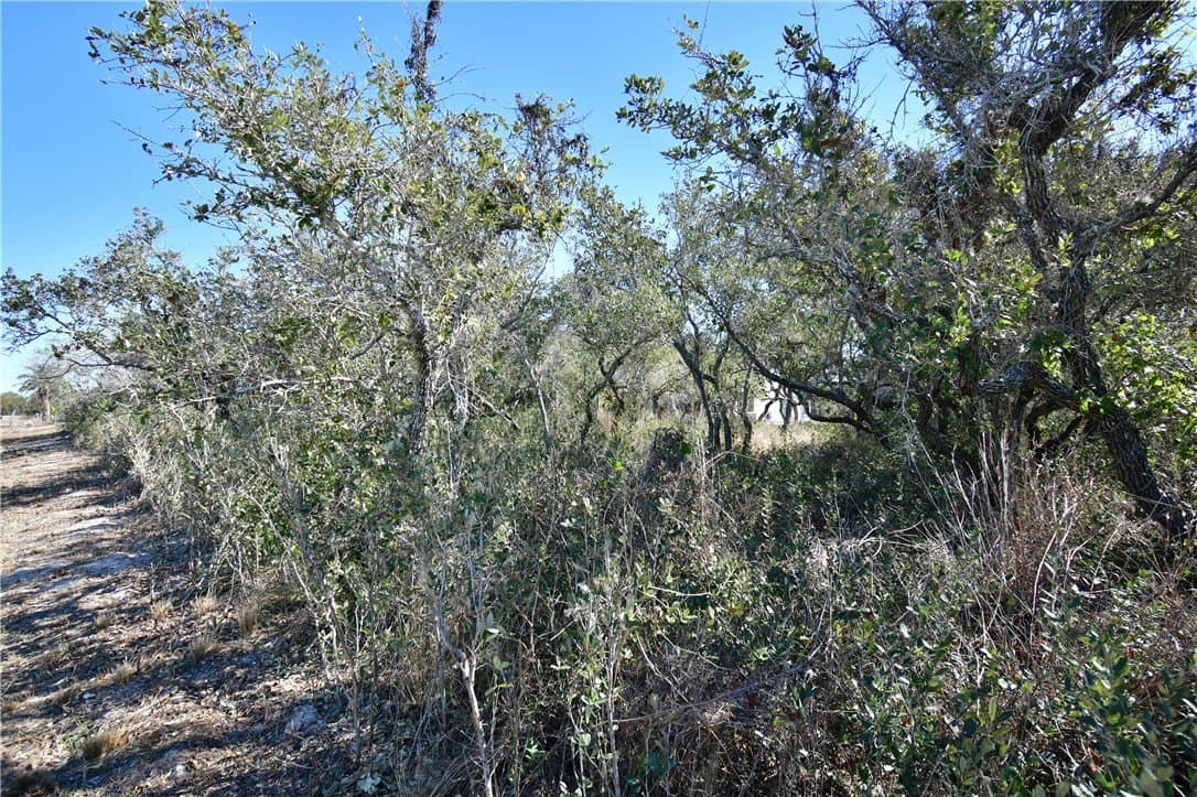 0.23 acres in Aransas County gallery image 2