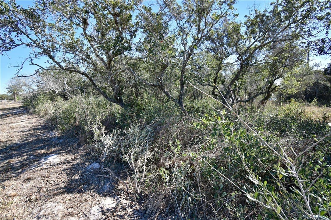 0.23 acres in Aransas County featured view