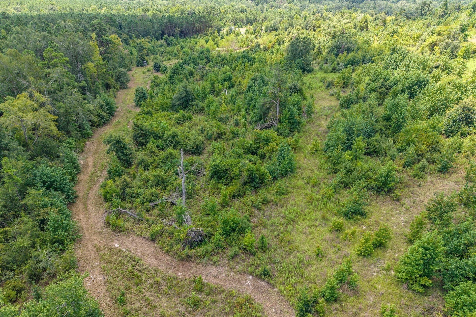 60.61 acres in Rusk County - photo 35