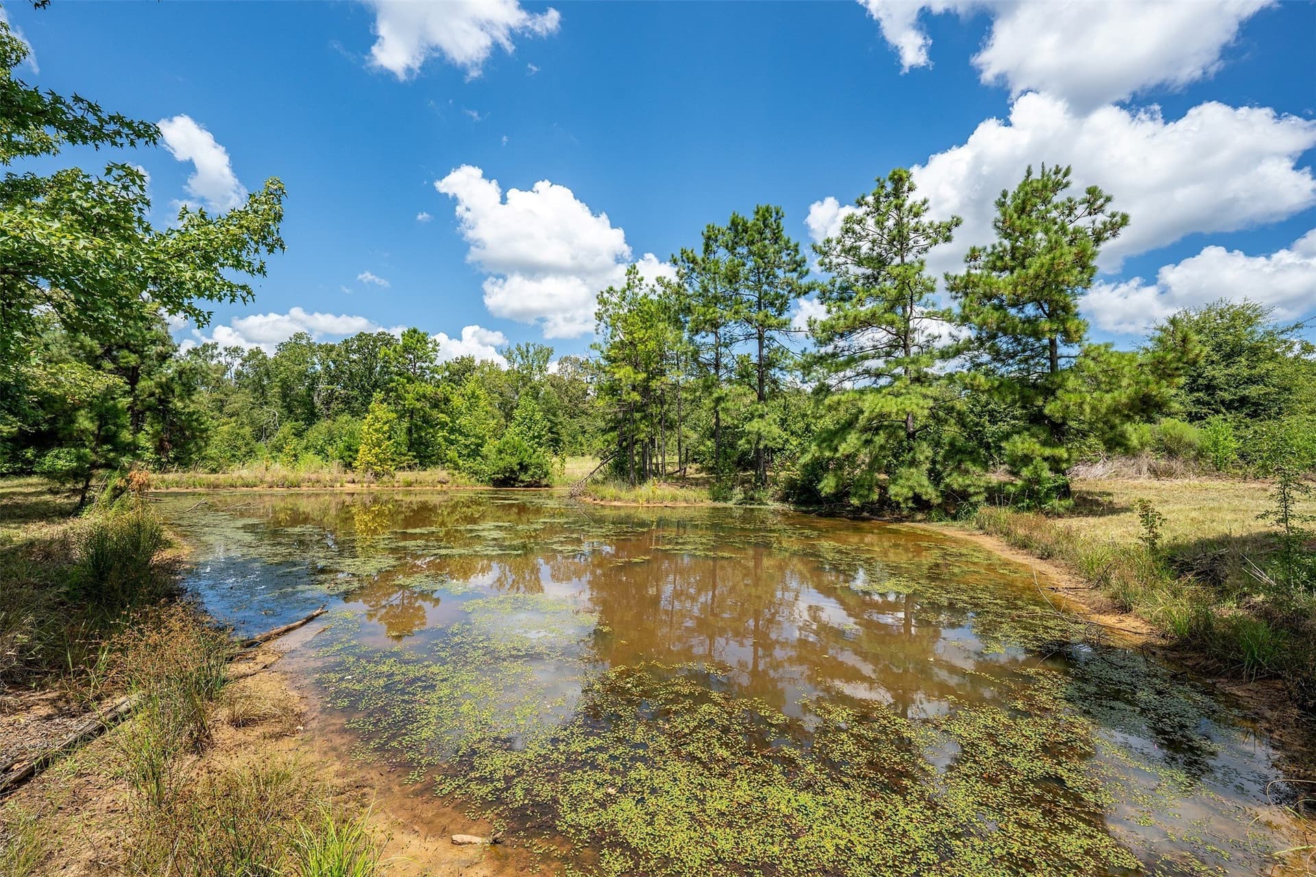 60.61 acres in Rusk County - photo 31