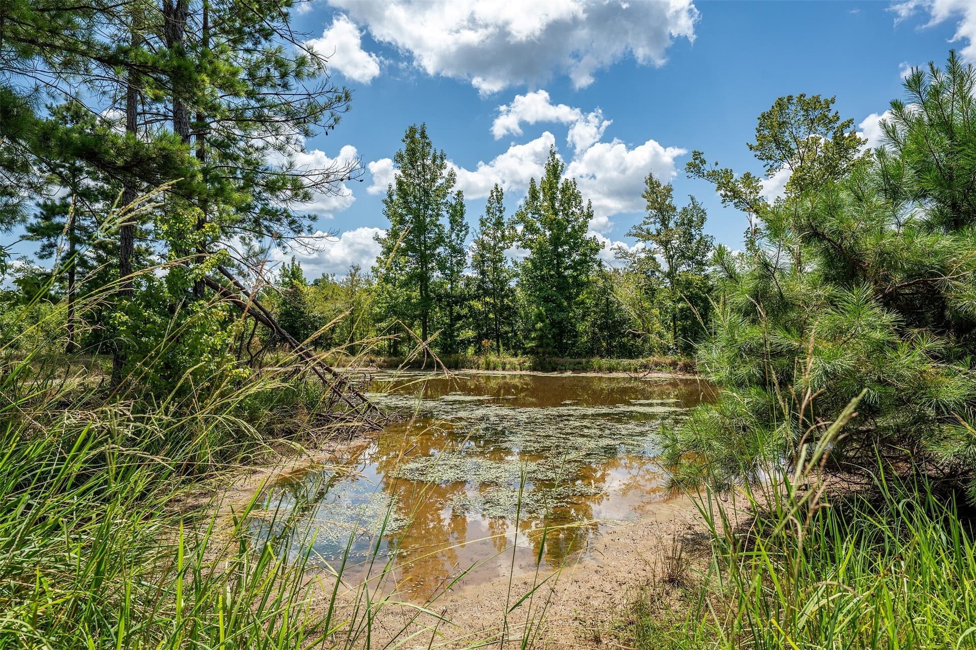 60.61 acres in Rusk County - photo 30
