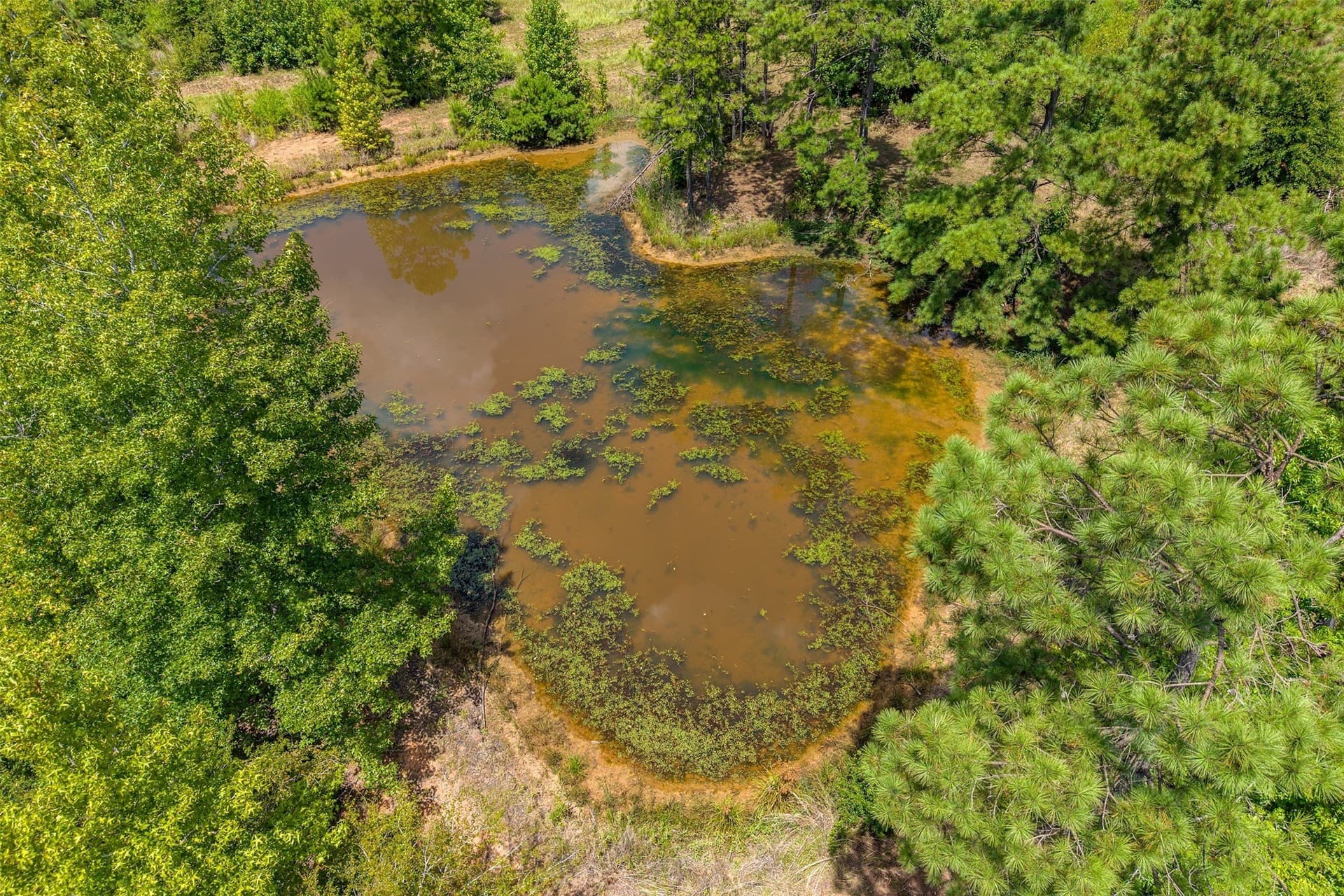 60.61 acres in Rusk County - photo 37