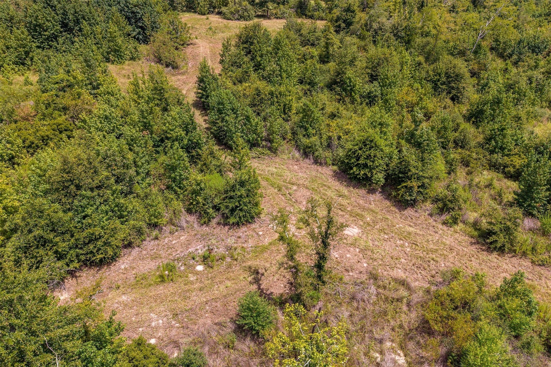 60.61 acres in Rusk County - photo 39