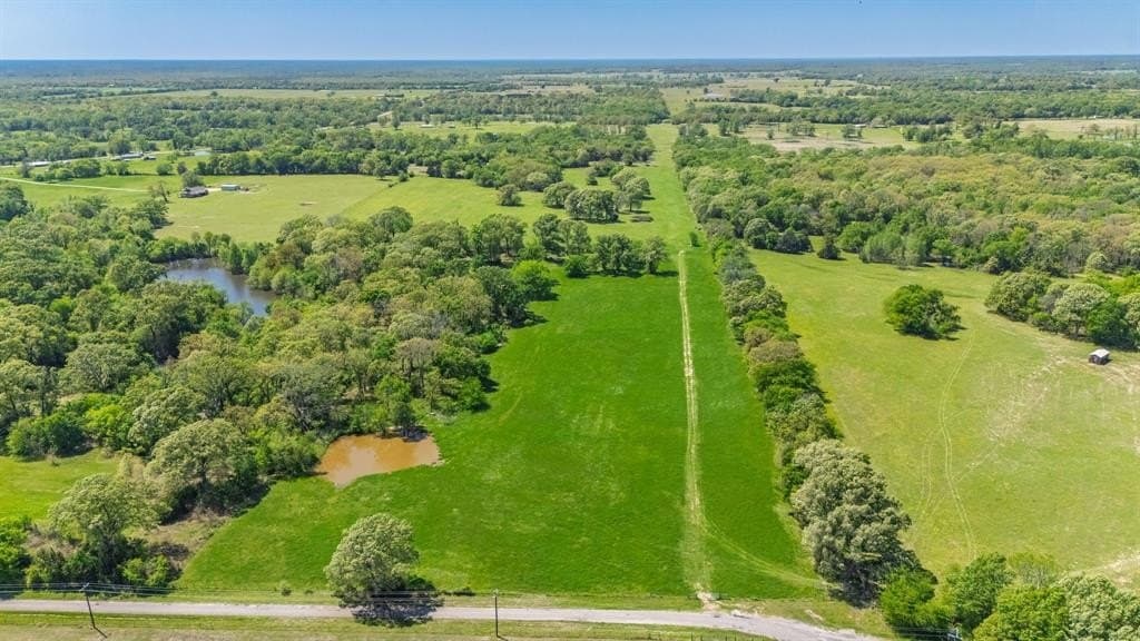 36.41 acres in Rains County