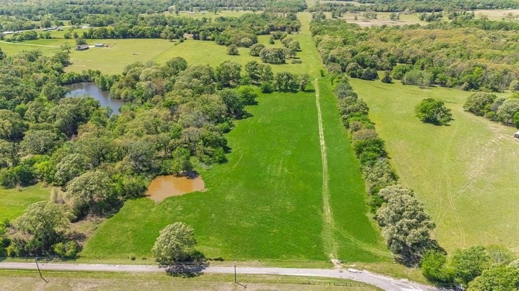 36.41 acres in Rains County gallery image 2