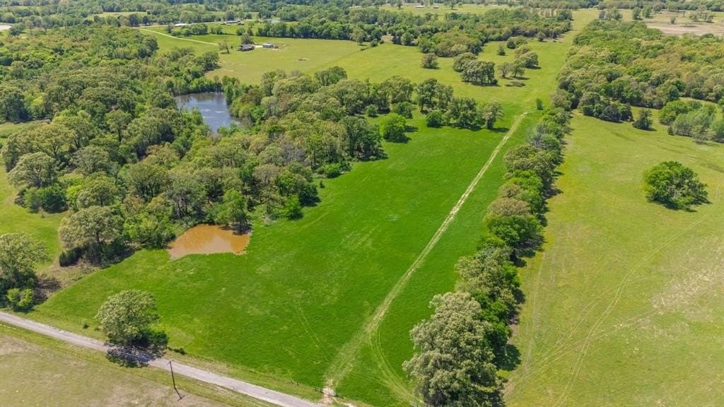 36.41 acres in Rains County featured view