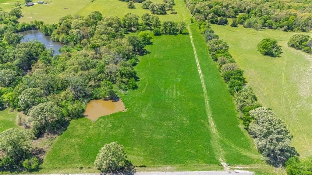 36.41 acres in Rains County gallery image 4