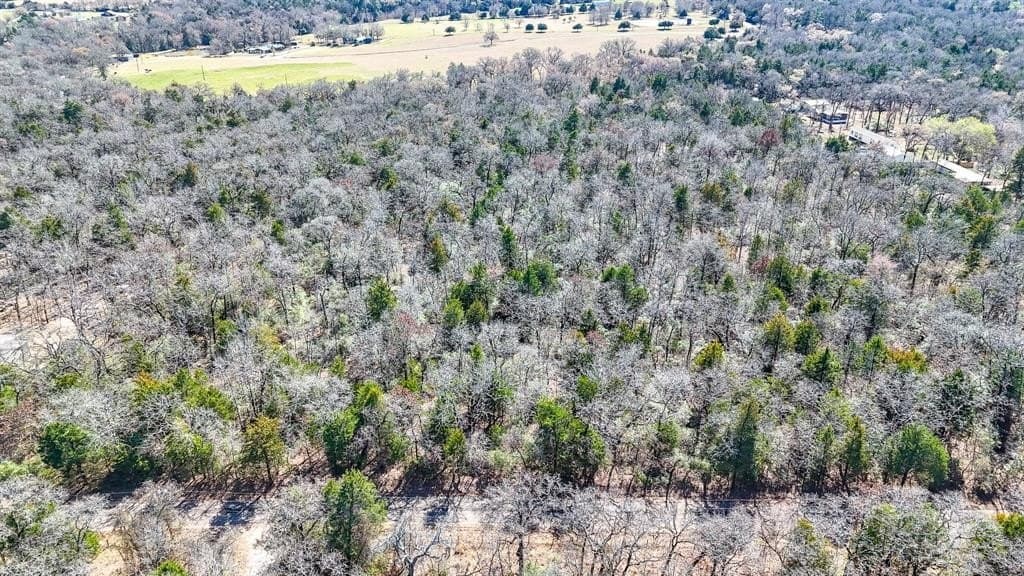 1 acres in Freestone County gallery image 3