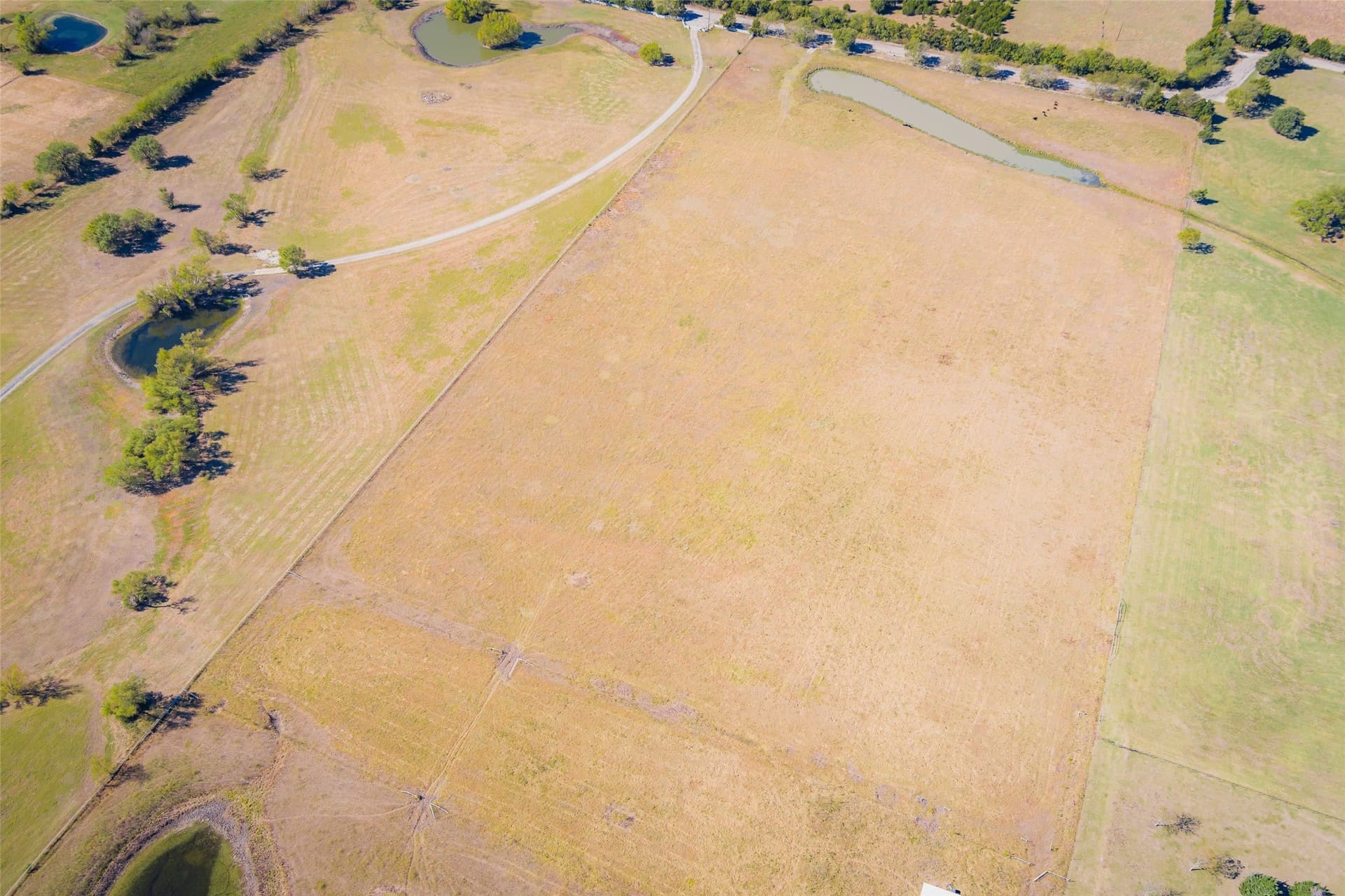 26.75 acres in Collin County - photo 9