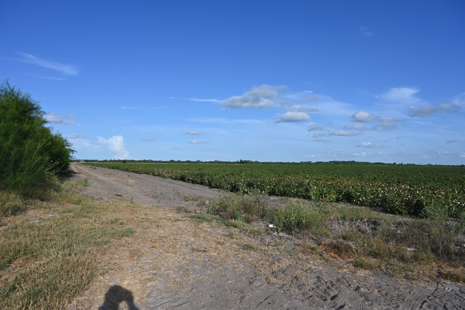 40 acres in Cameron (TX) County - photo 6