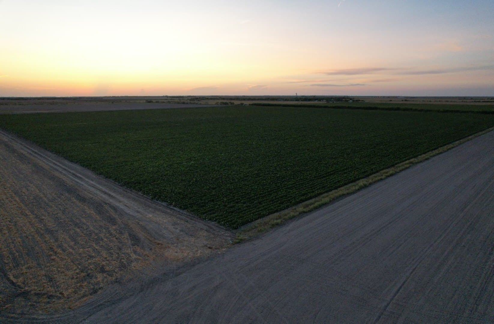 40 acres in Cameron (TX) County - photo 3
