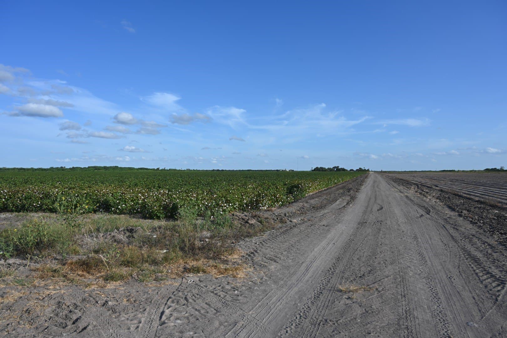 40 acres in Cameron (TX) County - photo 5