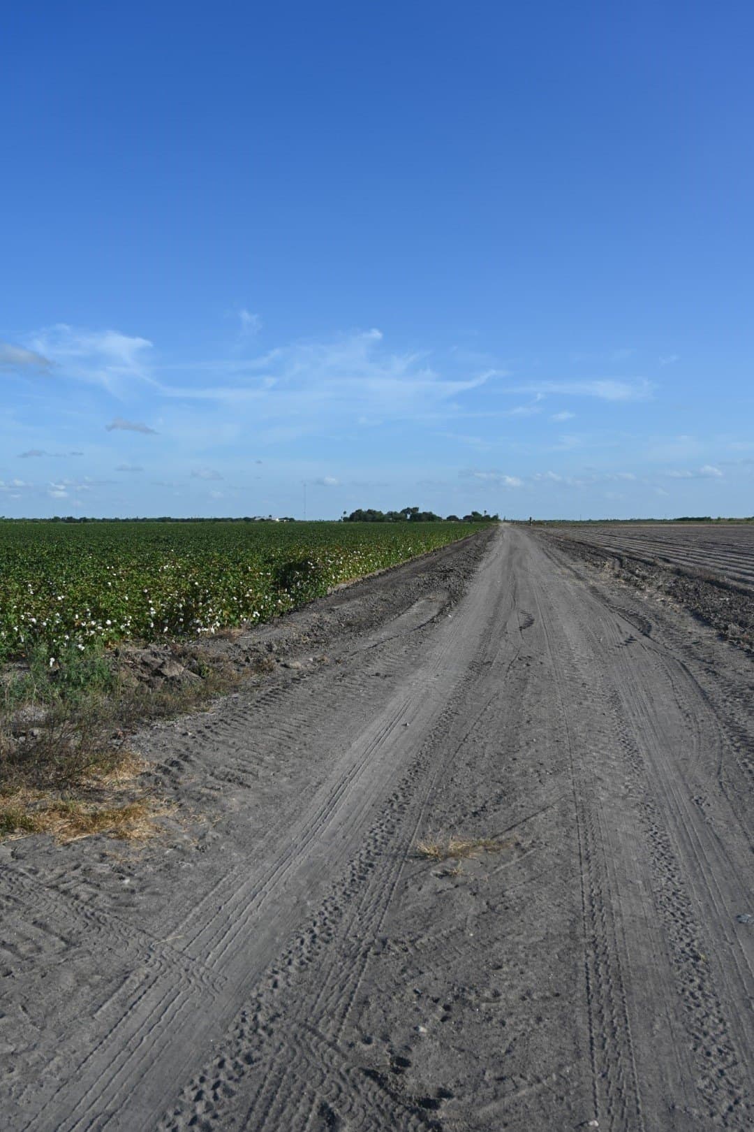 40 acres in Cameron (TX) County - photo 7