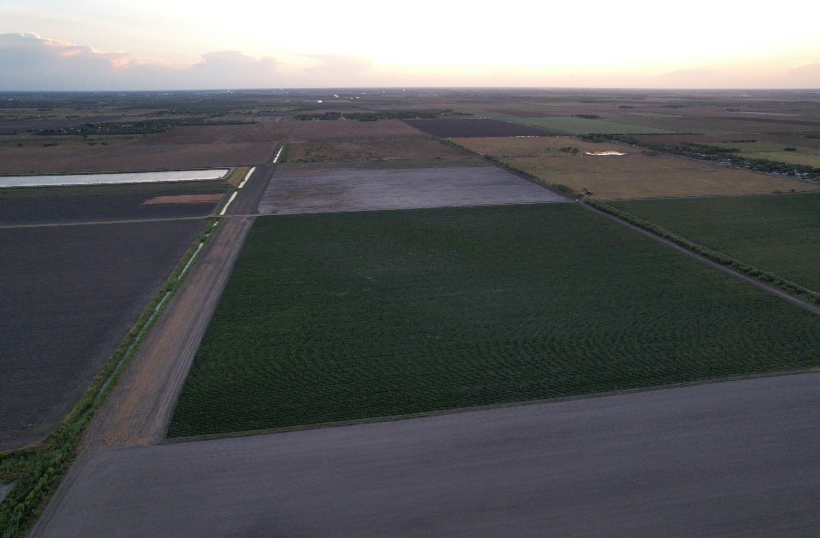 40 acres in Cameron (TX) County - photo 4