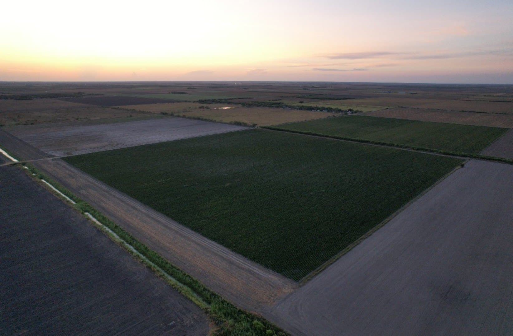 40 acres in Cameron (TX) County