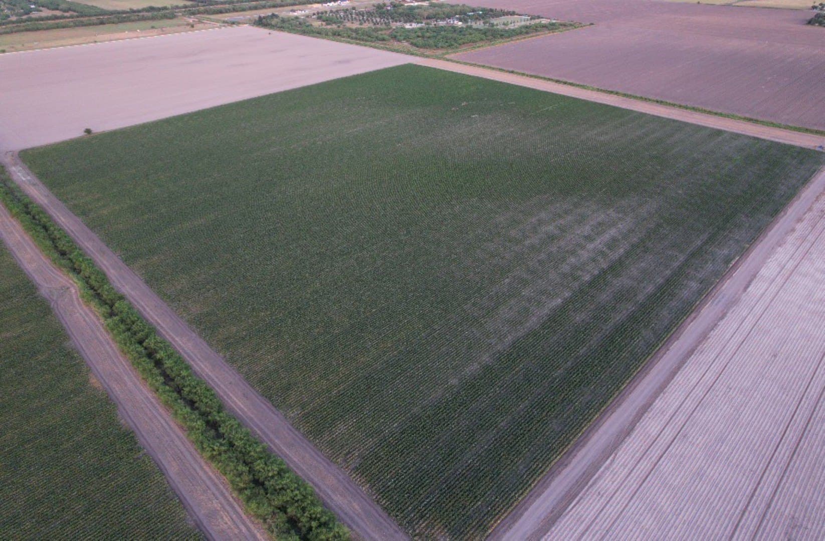 40 acres in Cameron (TX) County - photo 2