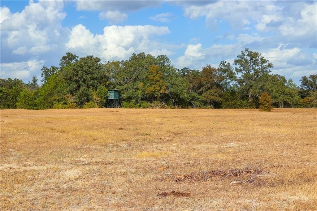 11.04 acres in Burleson County gallery image 4
