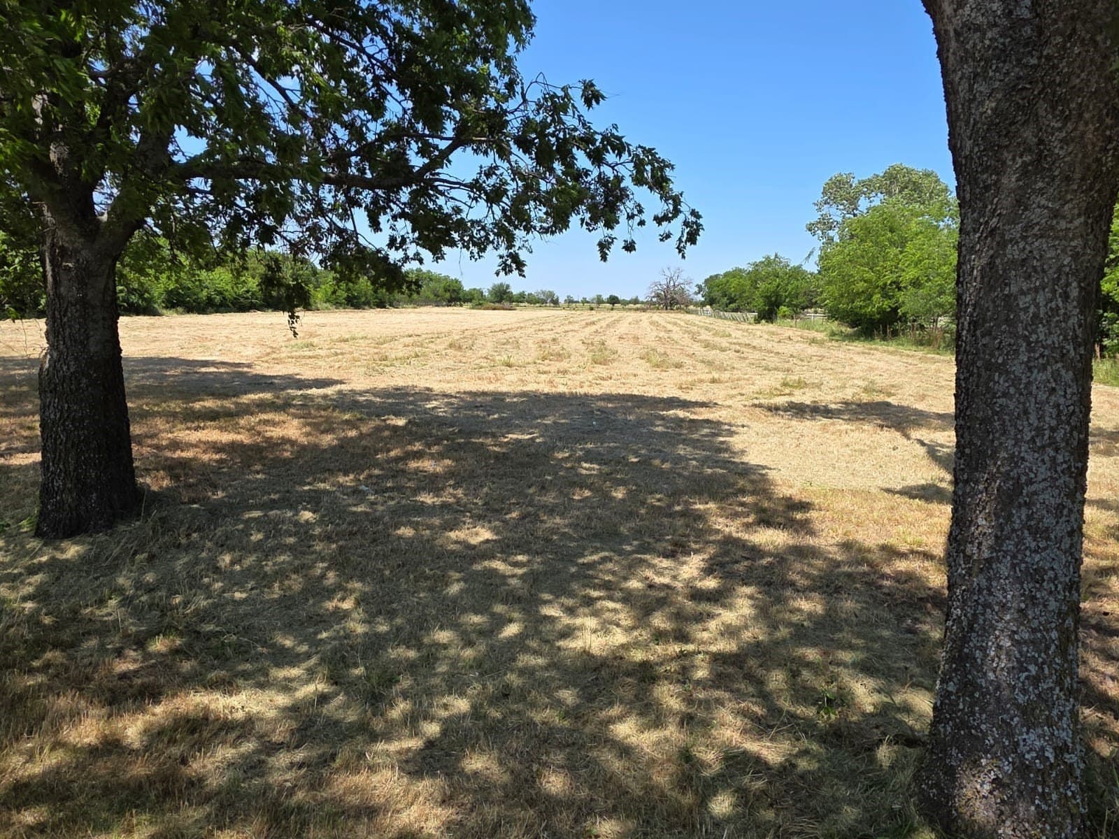 2.55 acres in Denton County gallery image 3
