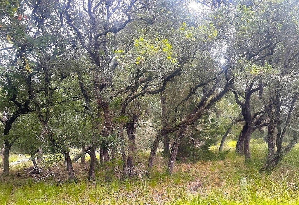 33.43 acres in Lavaca County featured view