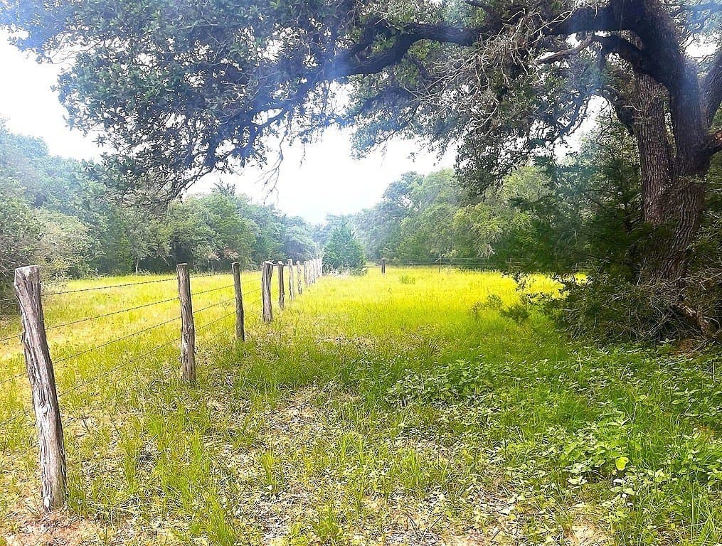 33.43 acres in Lavaca County gallery image 3