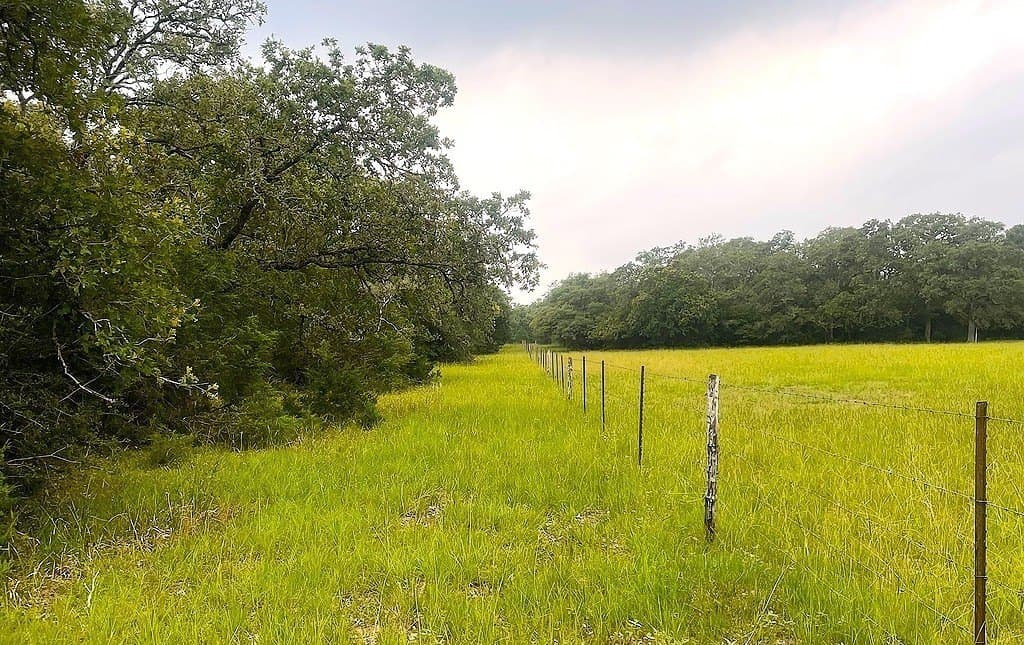 33.43 acres in Lavaca County - photo 13