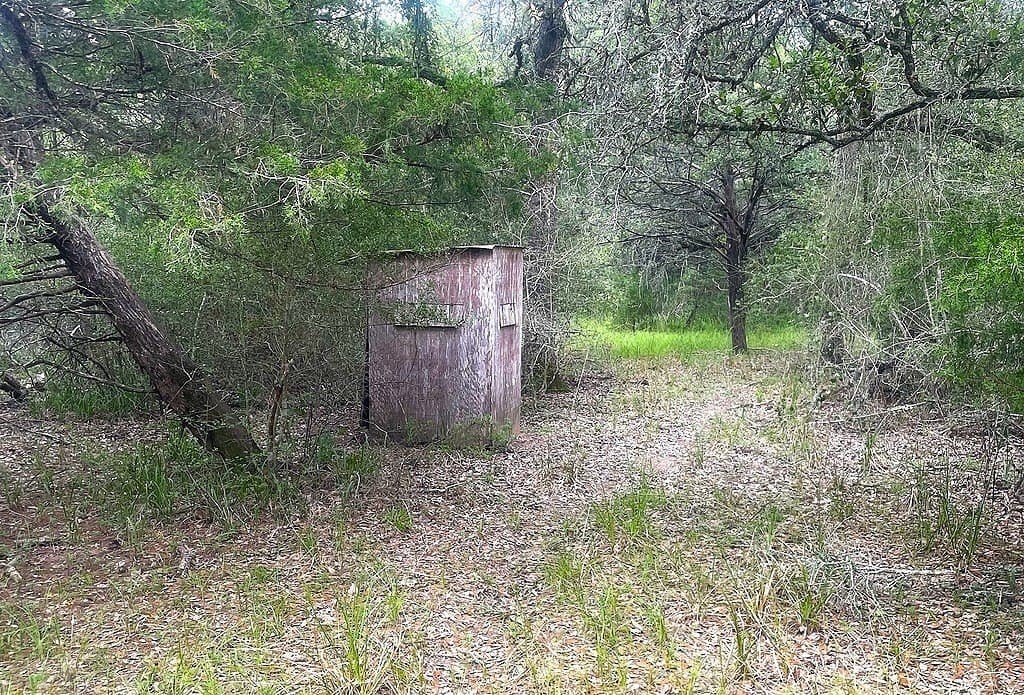 33.43 acres in Lavaca County gallery image 4