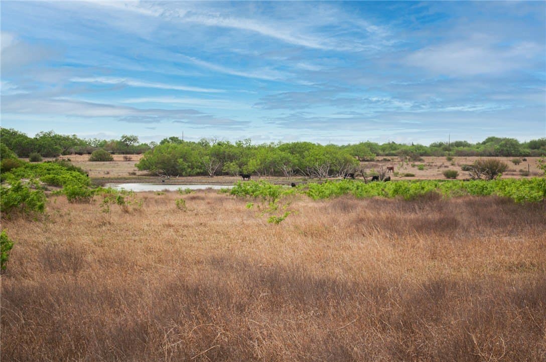 11.65 acres in Jim Wells County