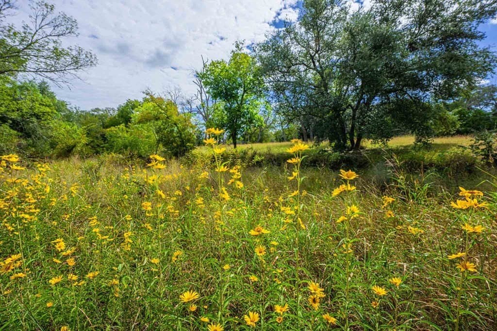 32.35 acres in Gillespie County gallery image 4