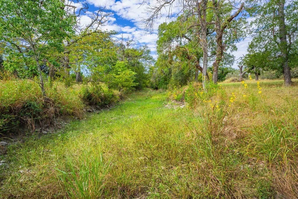 32.35 acres in Gillespie County featured view