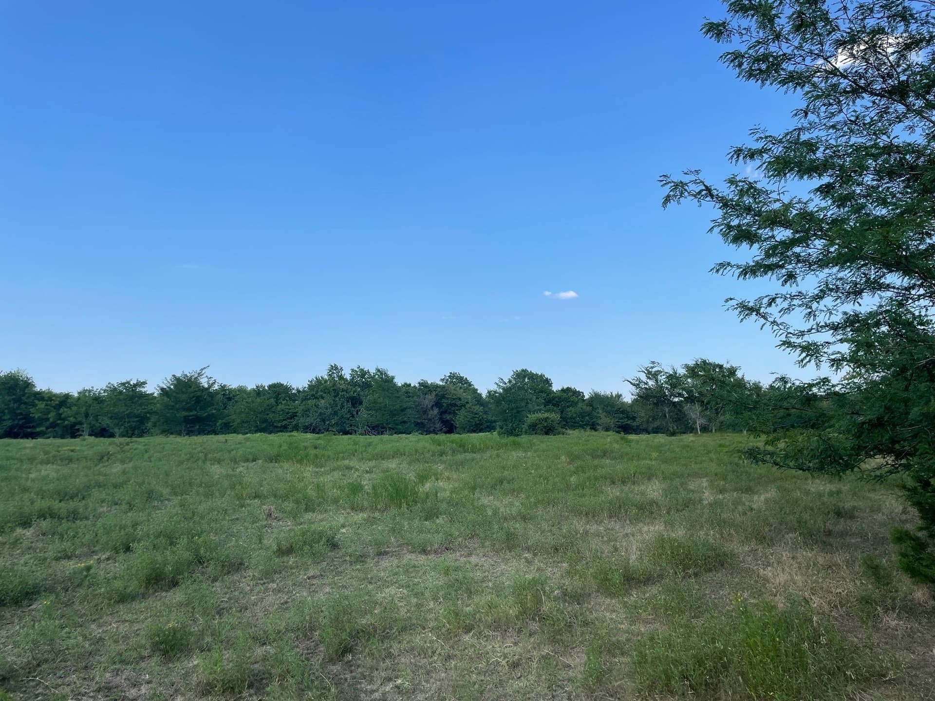 35.13 acres in Fannin County - photo 14
