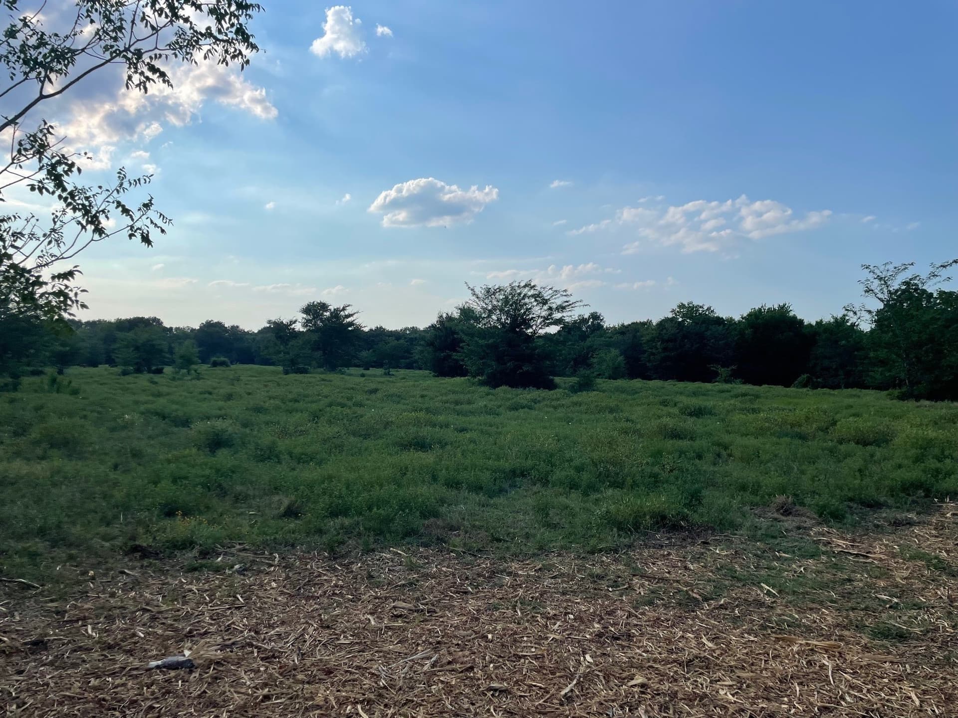 35.13 acres in Fannin County - photo 10