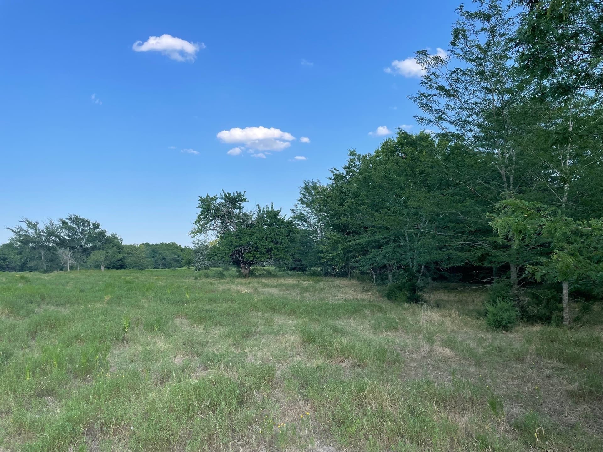 35.13 acres in Fannin County - photo 13